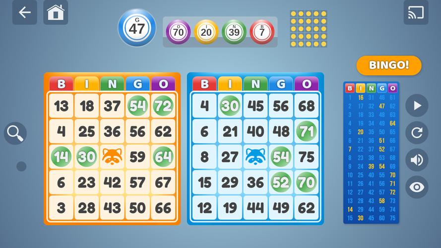 Bingo Set スクリーンショット 1