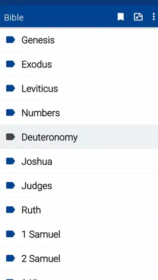Spurgeon Bible Commentary應用截圖第2張