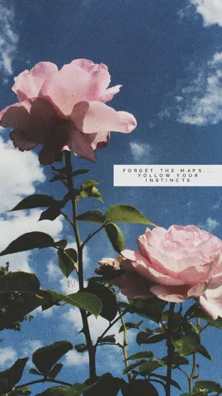 aesthetic background Screenshot 3
