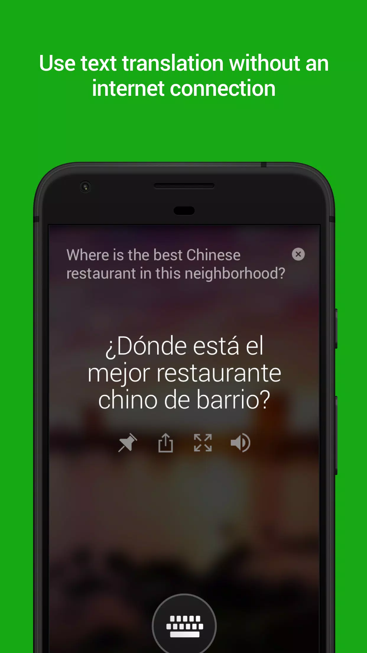 Schermata Microsoft Translator 1