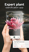 Schermata Nature Detect - Plant Identify 1