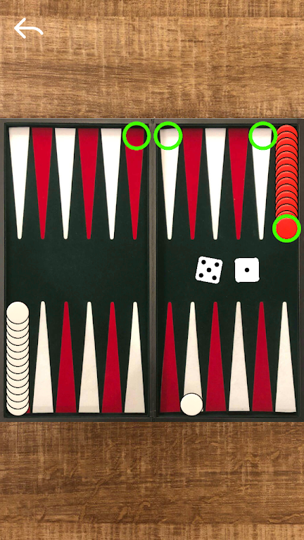 Narde Backgammon Ekran Görüntüsü 2