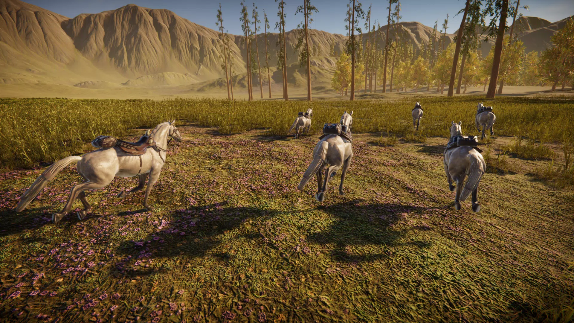 Spirit Horse: Woodland Trails应用截图第3张