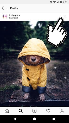 Schermata Downloader for IG 3