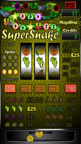 Super Snake Screenshot 2