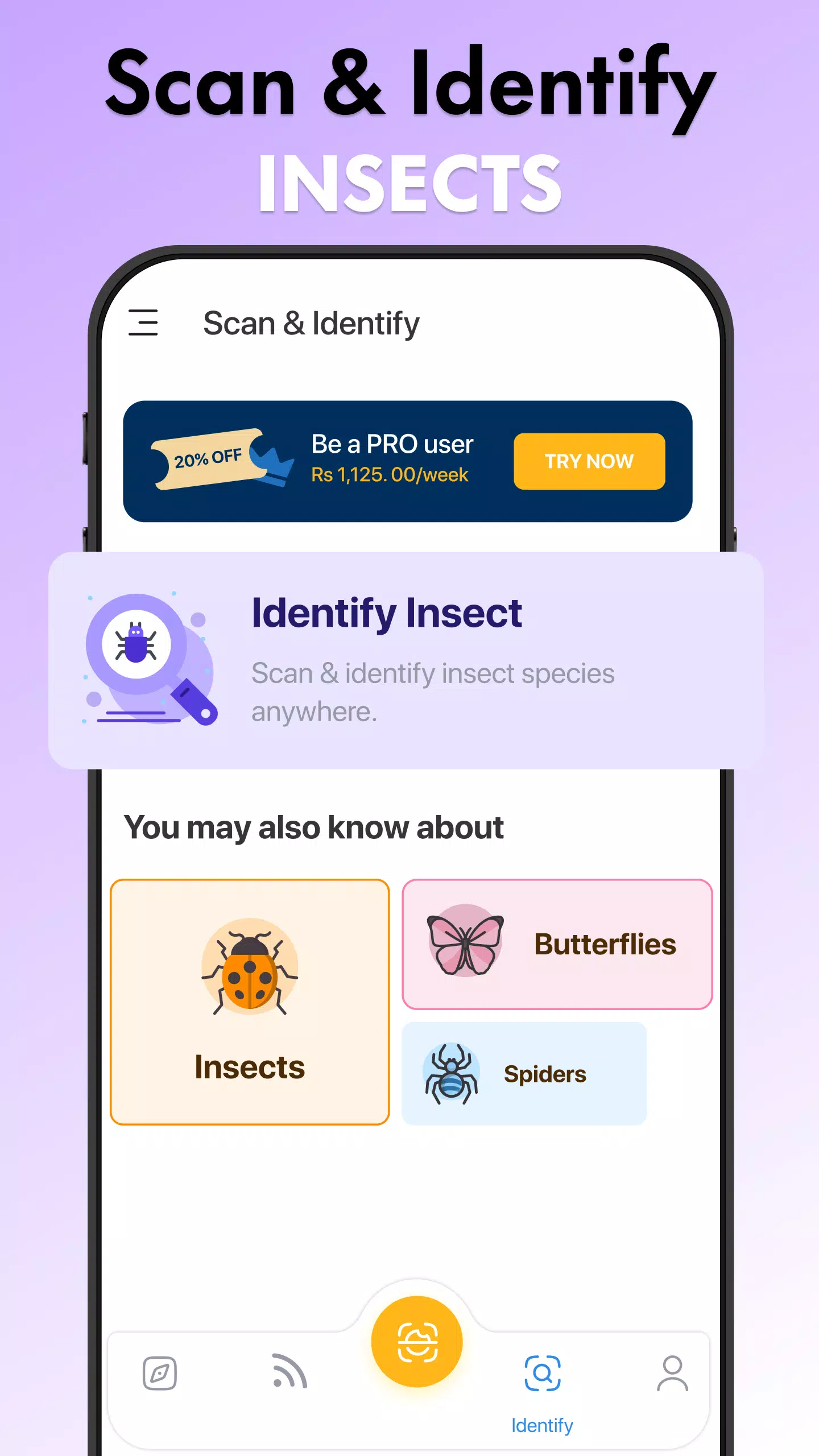 Insect Identifier Bug Identify Ảnh chụp màn hình 4
