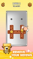 Screw Puzzle Master应用截图第4张
