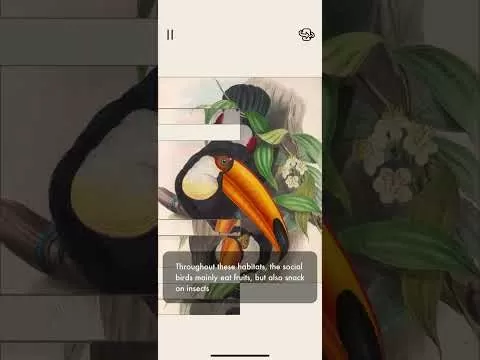 The Art of Fauna gameplay showcasing wildlife puzzle transformation