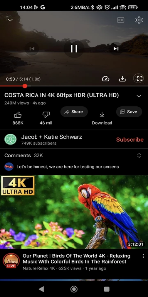 YouTube ReVanced Extended应用截图第3张