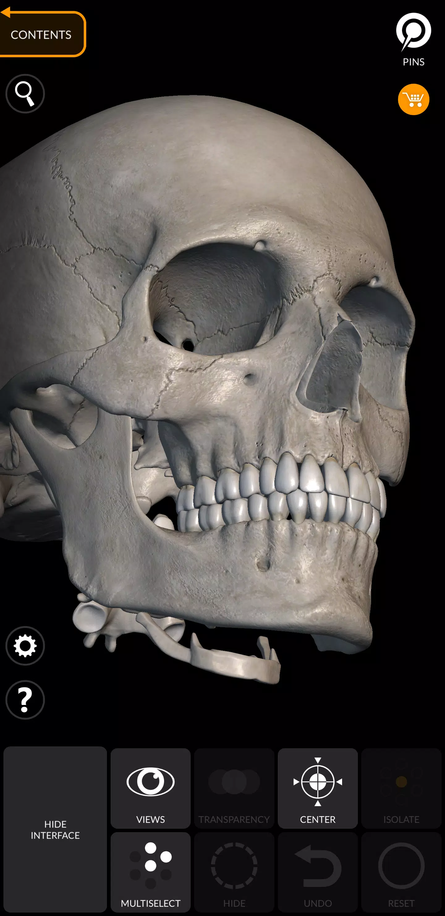 Skeleton ภาพหน้าจอ 4