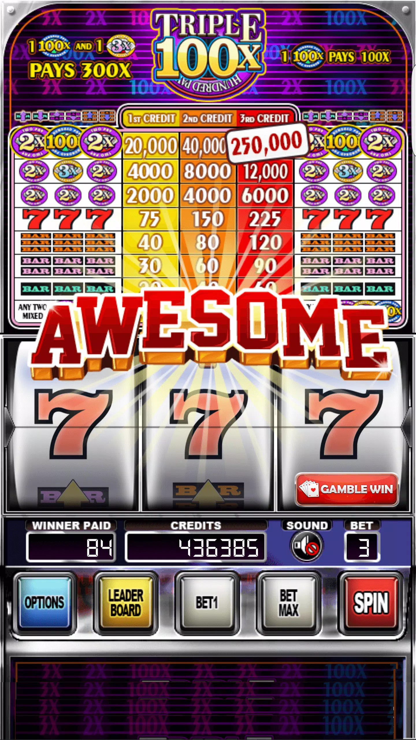 Double Wild Slots स्क्रीनशॉट 3