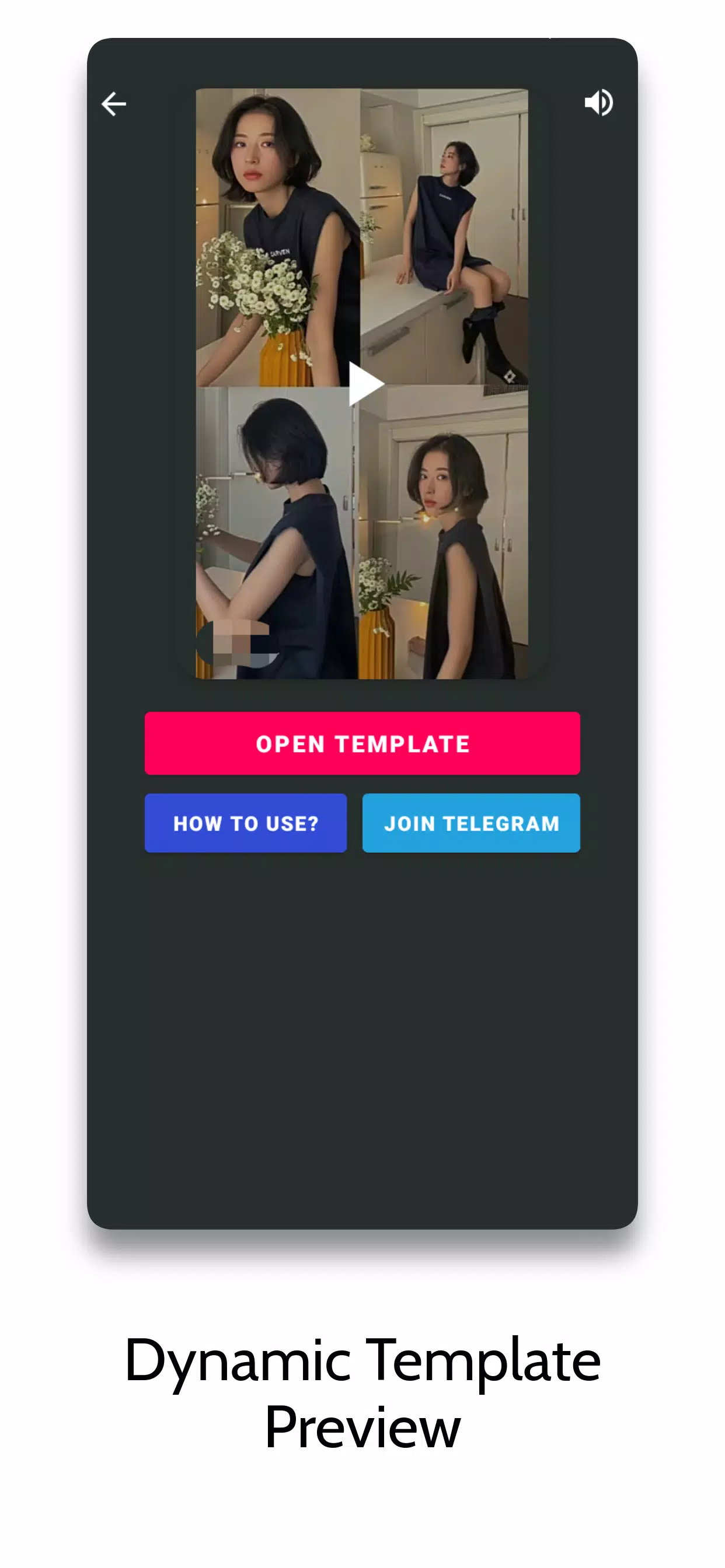 CVT Template Screenshot 2