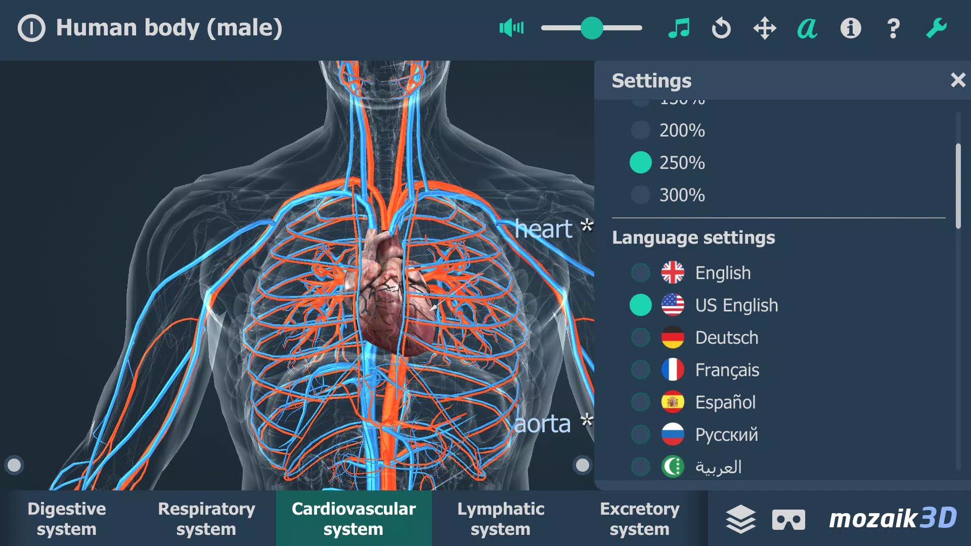 Human body (male) 3D scene Скриншот 2