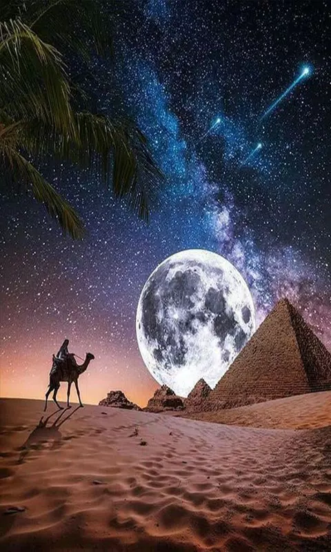 خلفيات应用截图第3张