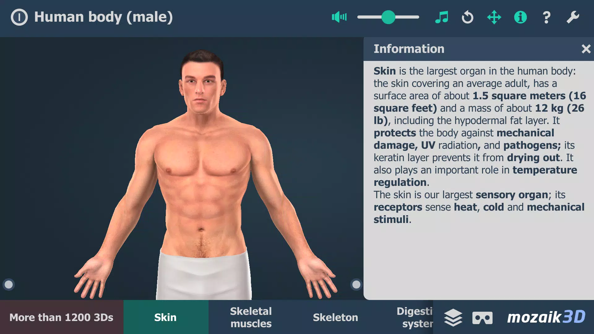 Human body (male) 3D scene Скриншот 1