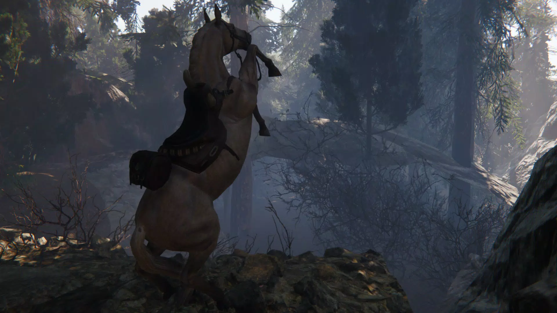 Spirit Horse: Woodland Trails应用截图第4张