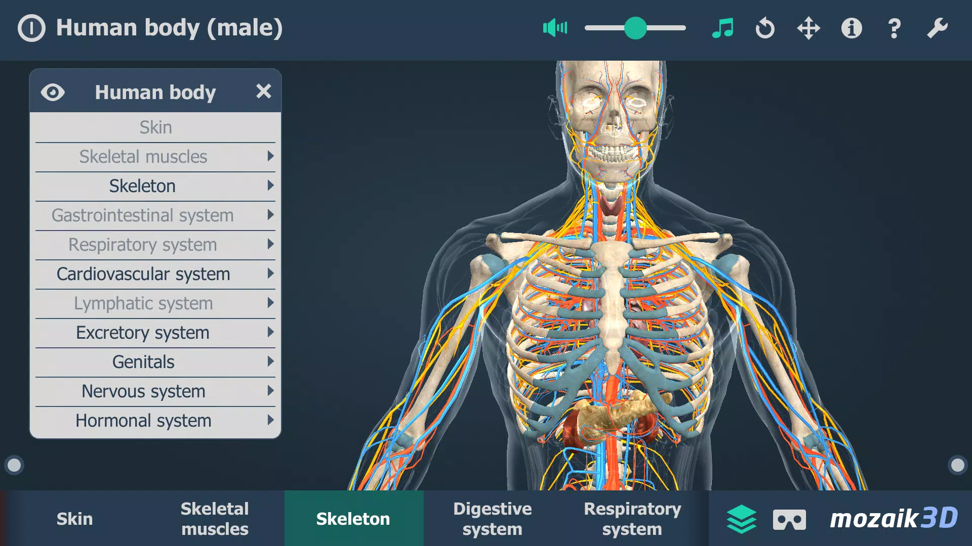 Human body (male) 3D scene Скриншот 4