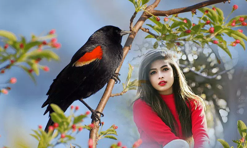 Birds Photo frame : Bird photo Screenshot 4