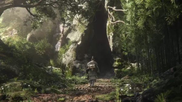 Woochi the Wayfarer Preorder and DLC