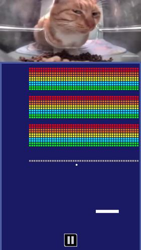 Chipi Chapa: Brick Breaker Captura de pantalla 3