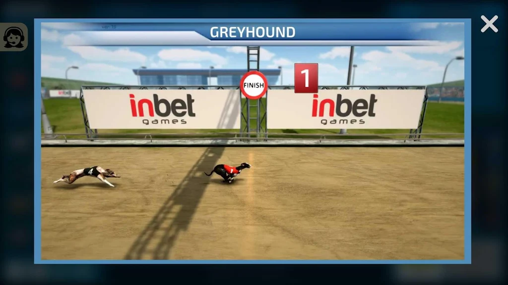 Dogs3D Races Betting Capture d'écran 4