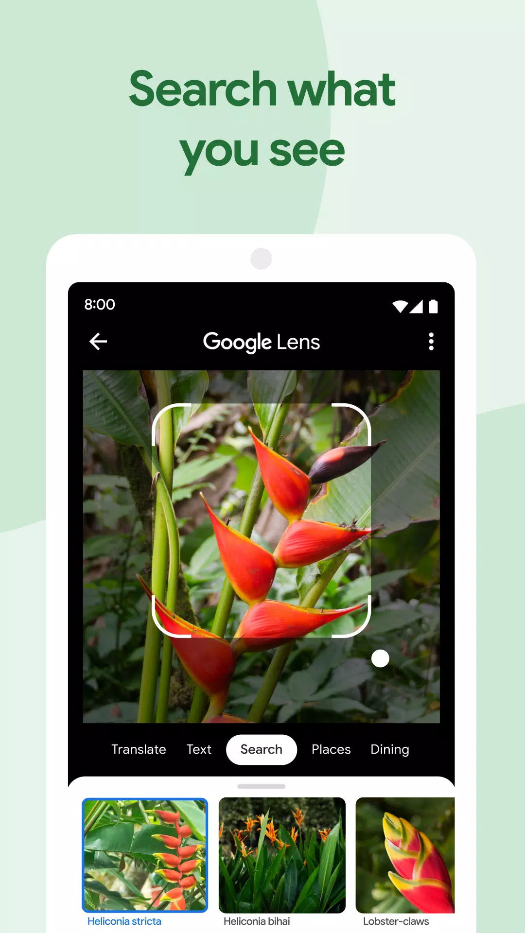 Google 相簿應用截圖第3張