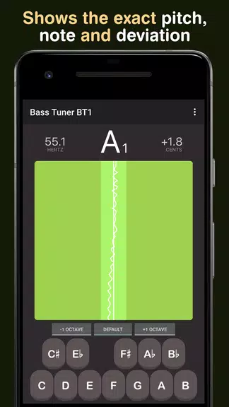 Bass Tuner BT1應用截圖第2張