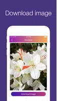 InstaSave Tangkapan skrin 2
