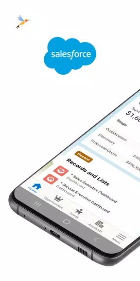 Salesforce Captura de pantalla 1