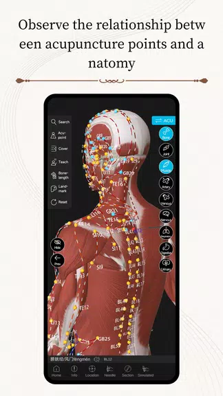 Acupuncture Master應用截圖第3張