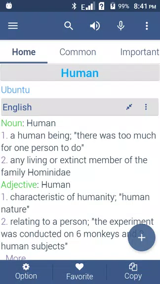 Zulu Dictionary Offline Screenshot 3