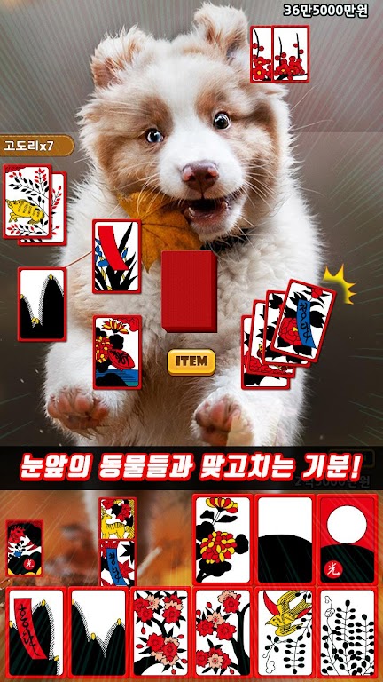 애니멀 맞고 - 동물 팻 고스톱 Captura de tela 2