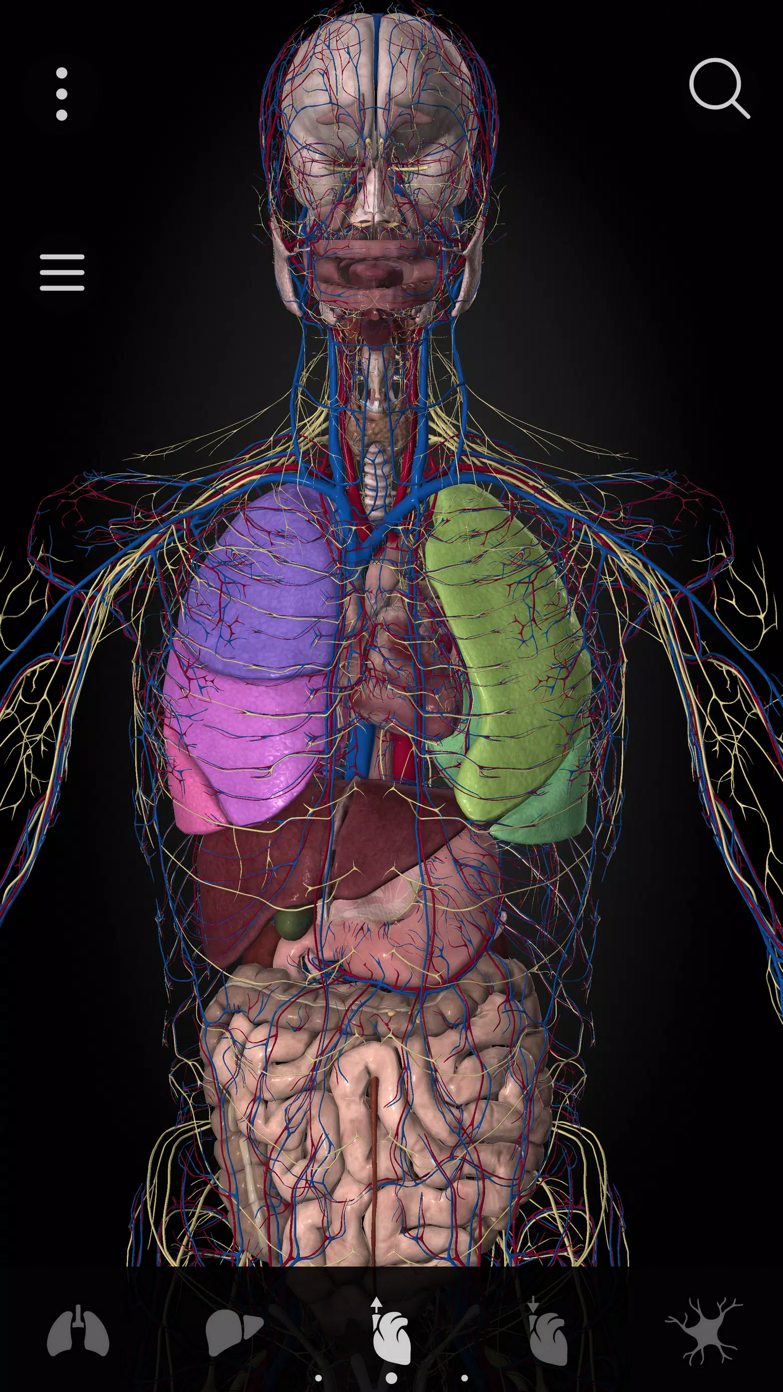 Anatomyka - 3D Anatomy Atlas應用截圖第3張