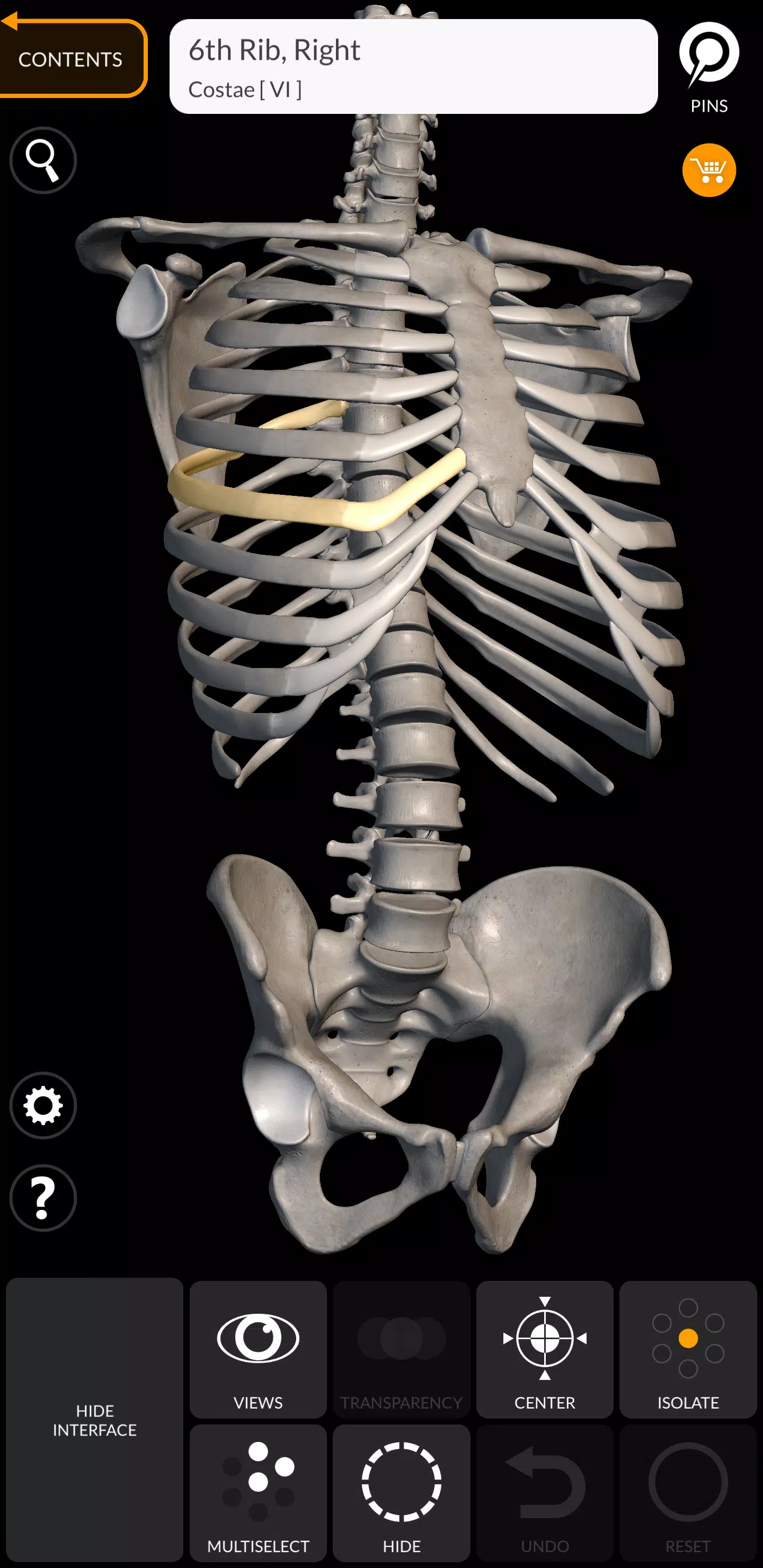 Skeleton ภาพหน้าจอ 1