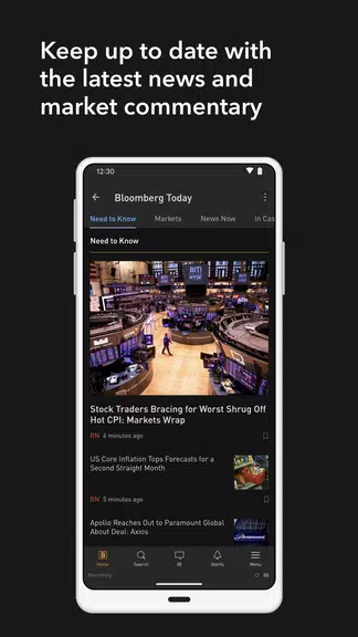 Bloomberg Professional ဖန်သားပြင်ဓာတ်ပုံ 3
