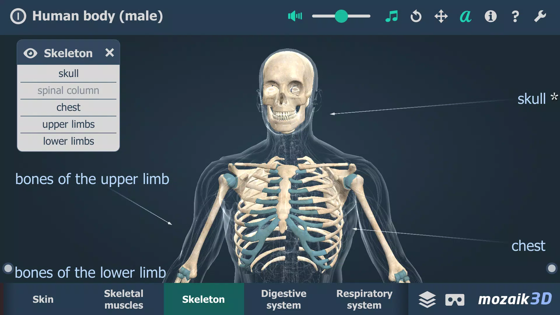 Human body (male) 3D scene Скриншот 3