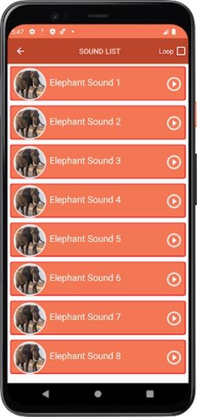 Elephant Sounds應用截圖第1張