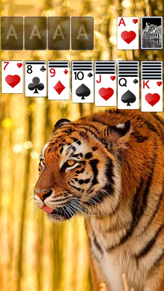 Schermata Solitaire Tiger Theme 1