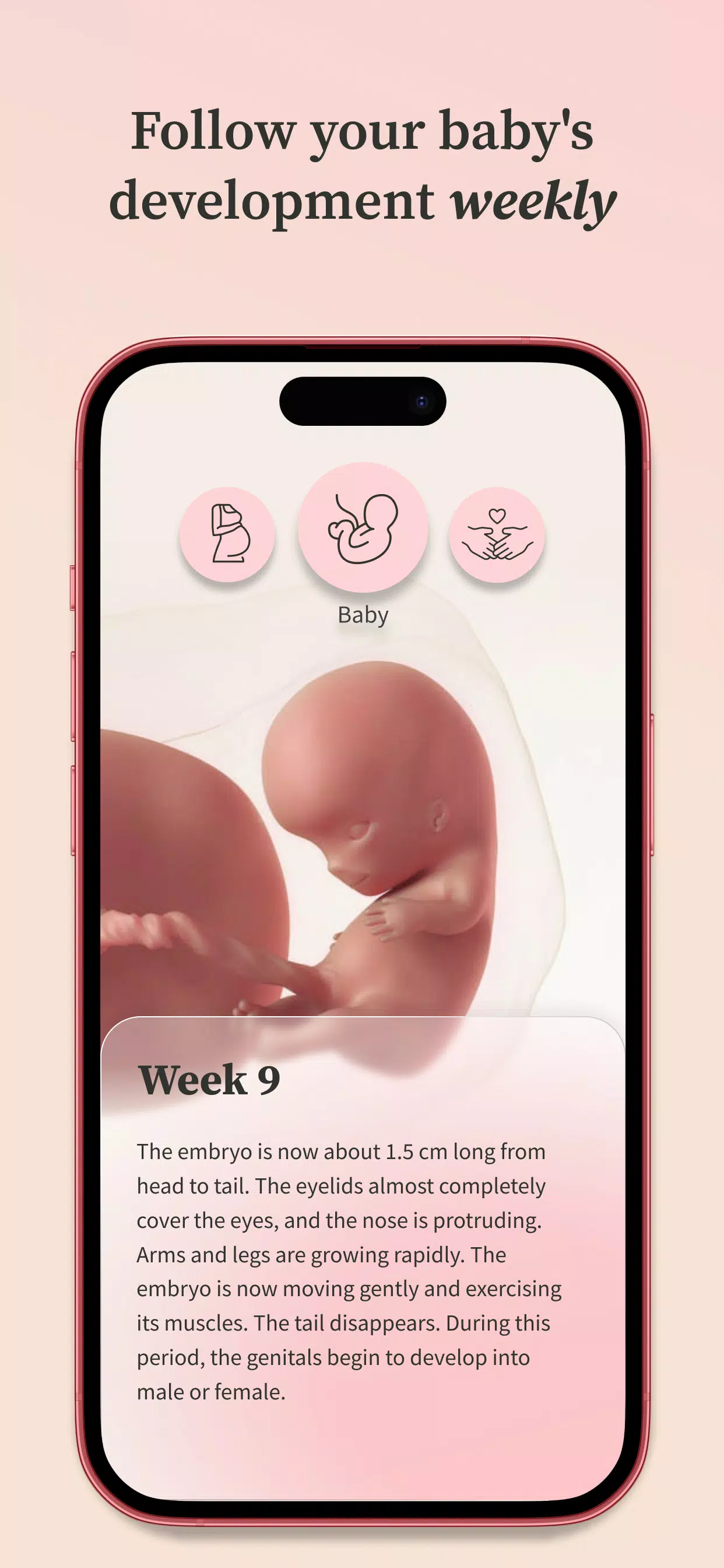 Preglife Schermafbeelding 3