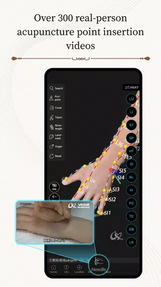 Acupuncture Master應用截圖第4張