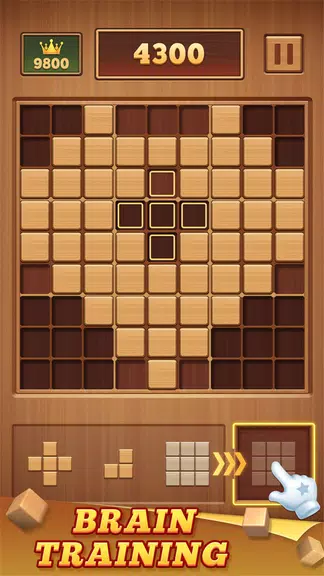 Wood Block 99 - Sudoku Puzzle应用截图第2张