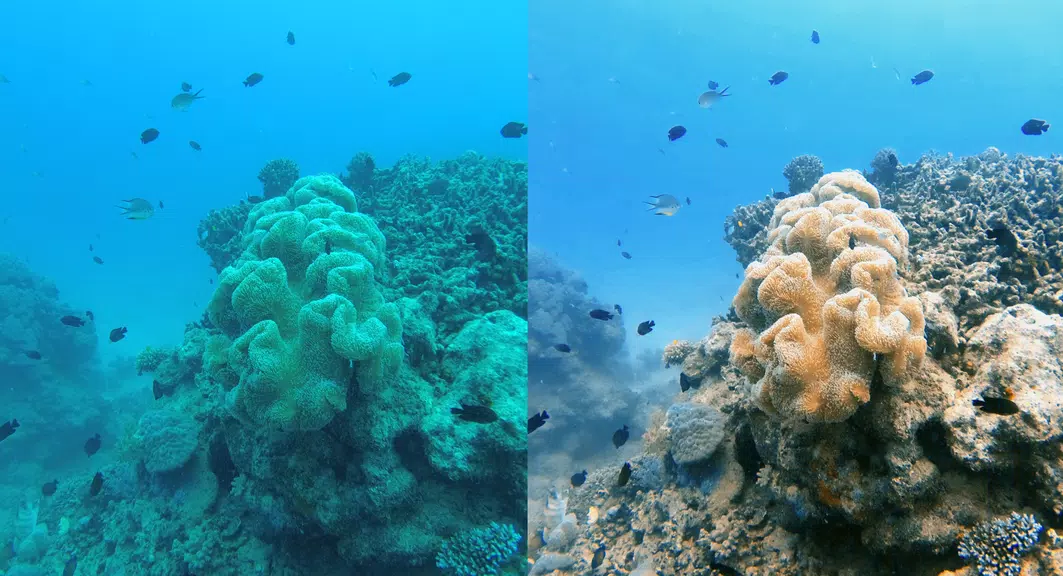 UwEdit - Diving footage editor 스크린샷 3