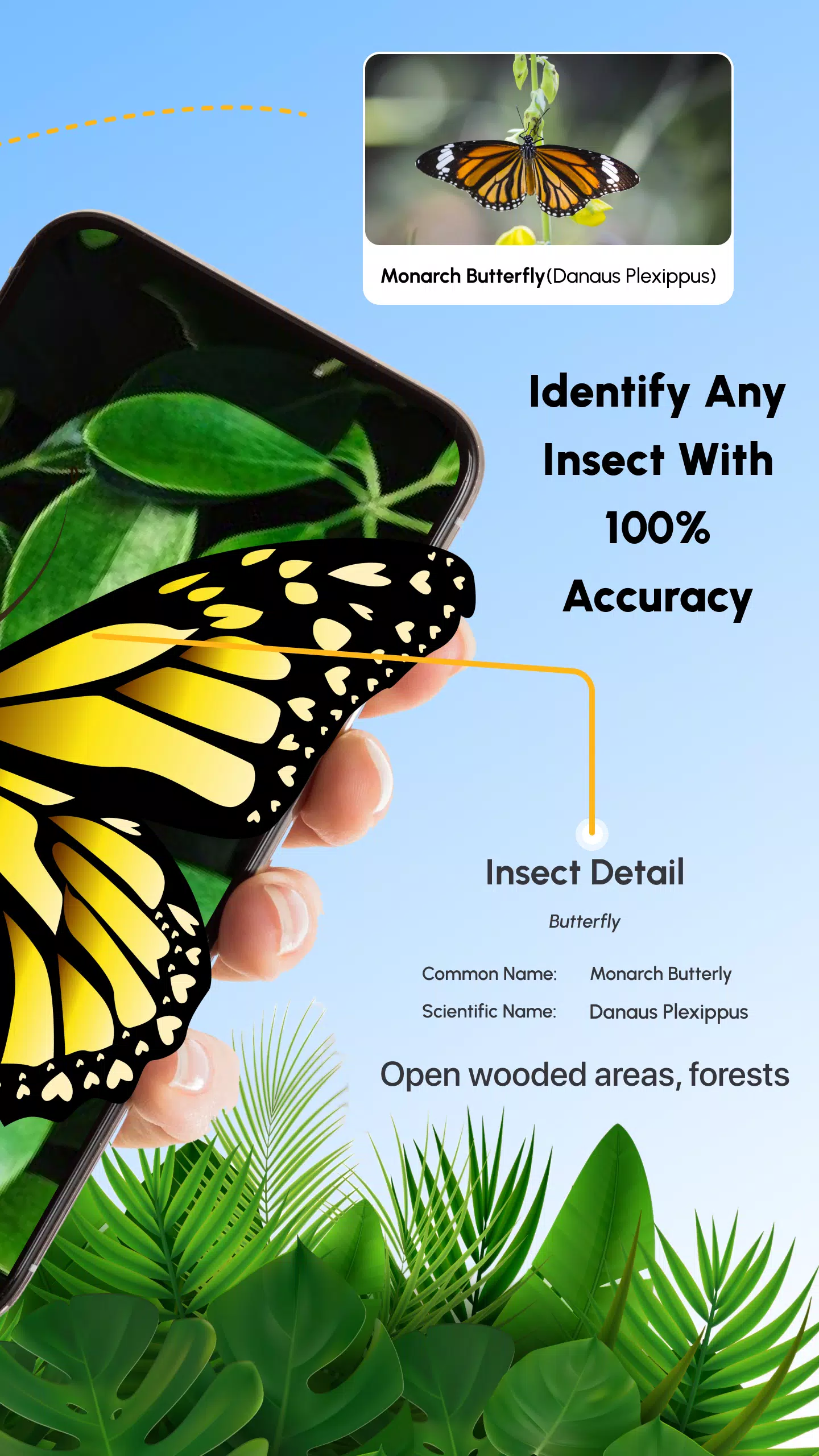 Insect Identifier Bug Identify Ảnh chụp màn hình 2