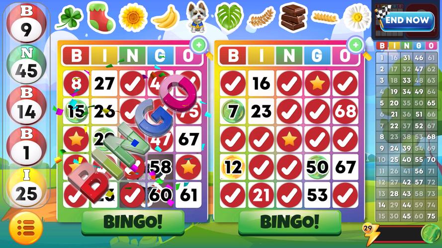 Bingo Classic スクリーンショット 3