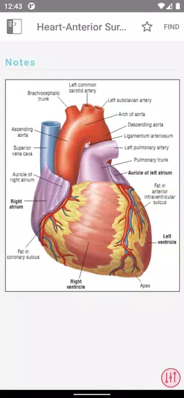 ECG Notes: Quick look-up ref. Capture d'écran 3