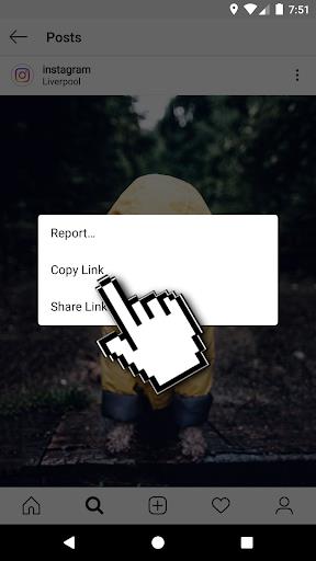 Schermata Downloader for IG 4