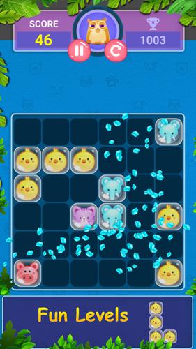 Block Game Puzzle of Pet World應用截圖第2張