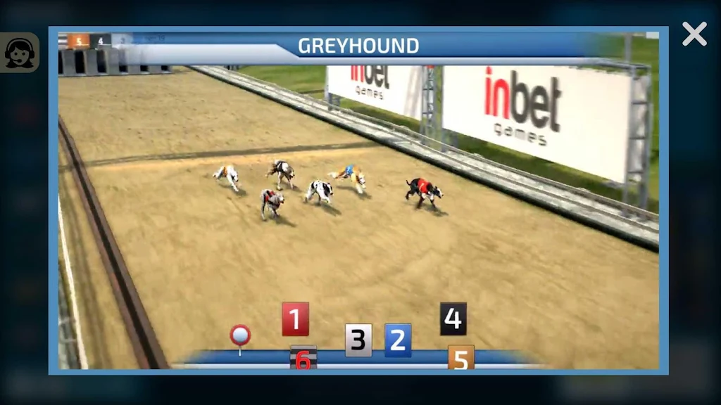 Dogs3D Races Betting Capture d'écran 3