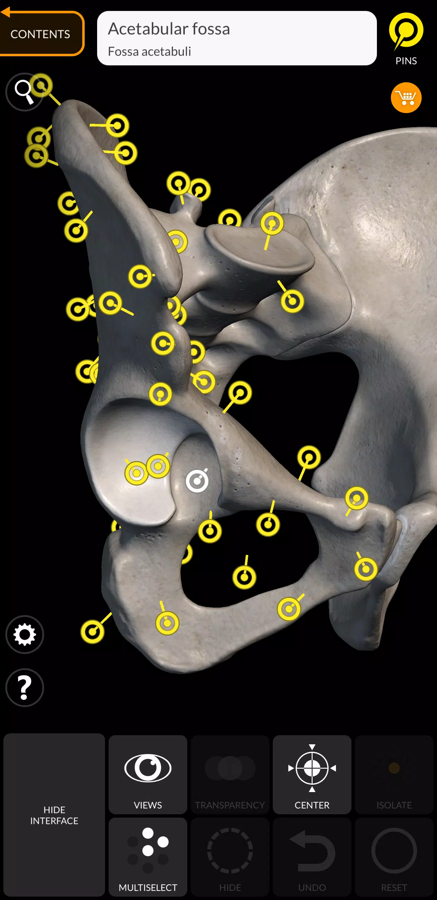 Skeleton ภาพหน้าจอ 2