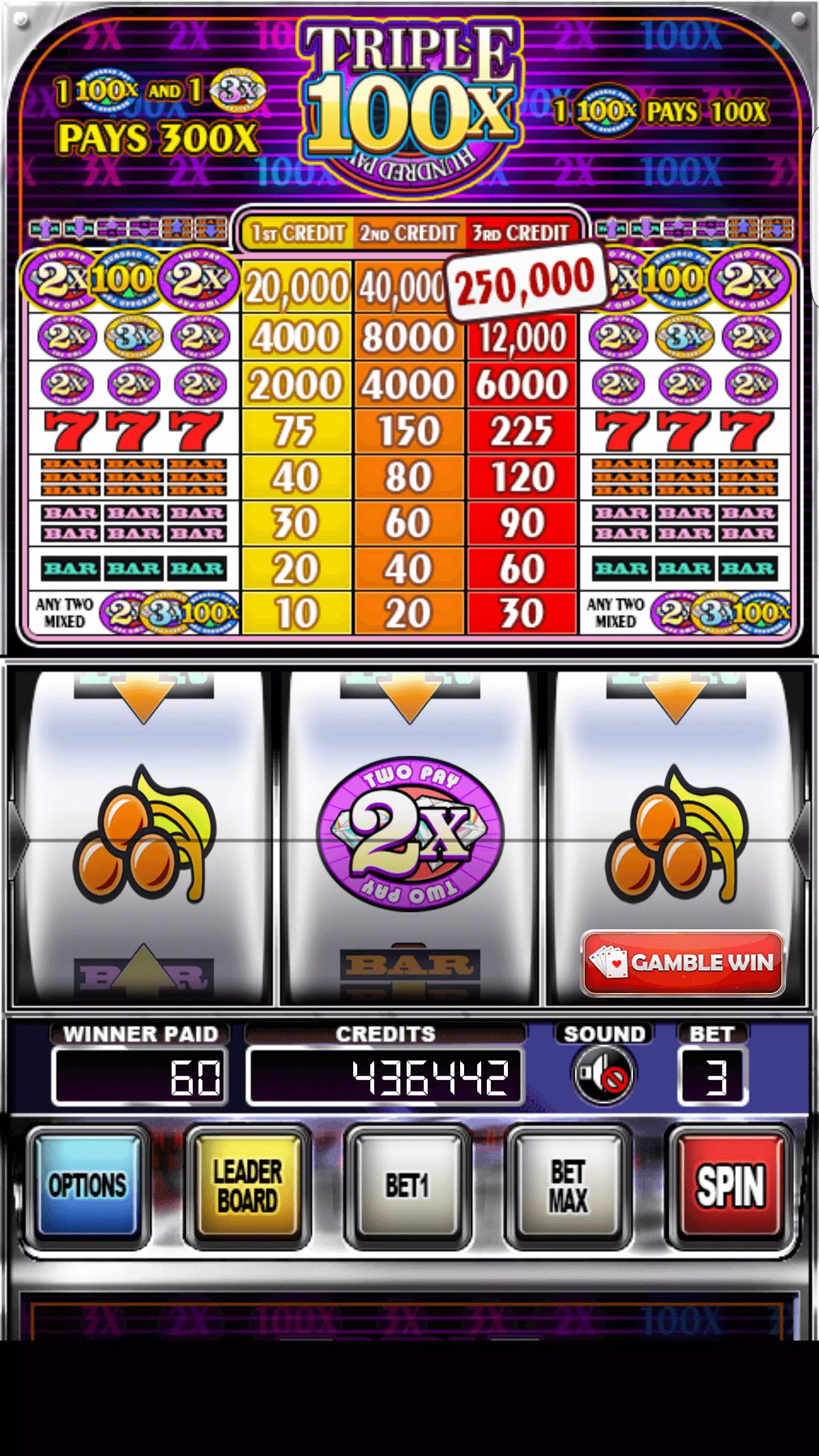 Double Wild Slots स्क्रीनशॉट 2